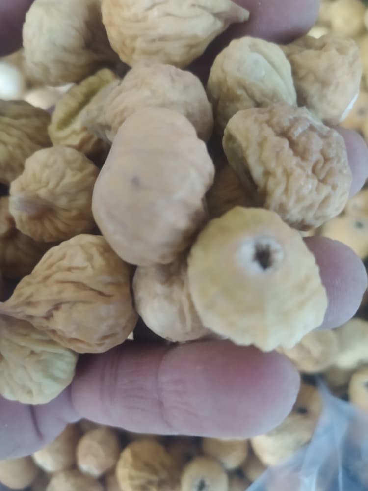 تصویر 1 از فروش انجیر سفید ریز + قیمت فوق العاده